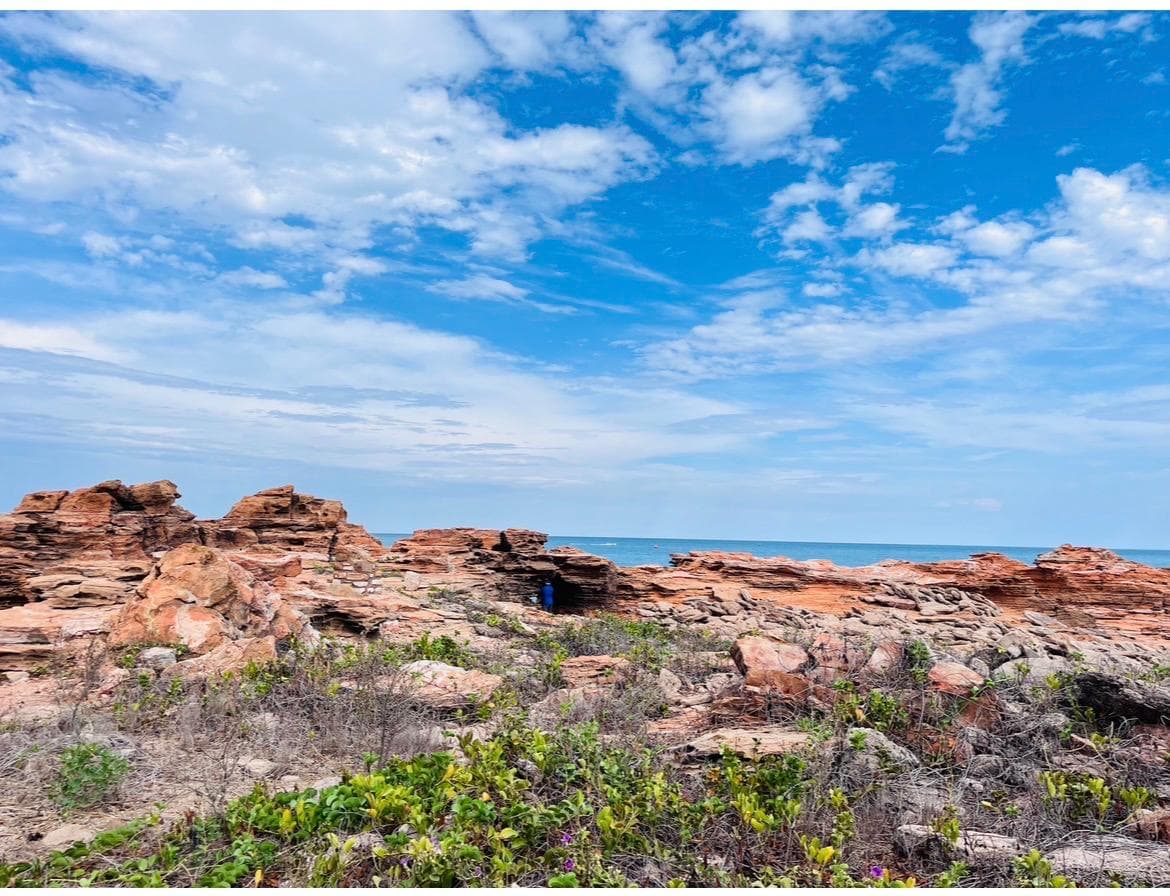 Springs of Hope brand identity